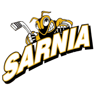 Sarnia Sting 1996 97-2005 06 Alternate Logo vinyl decal